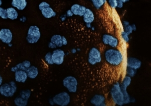 Ilmuwan Tiongkok Capai Terobosan Medis Dunia! Berhasil Membalikkan Diabetes Tipe 1 dengan Terapi Sel Punca