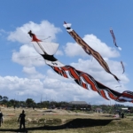 Bali Kite Festival ke-47 Resmi Dibuka, Ratusan Layangan Hiasi Langit Padanggalak