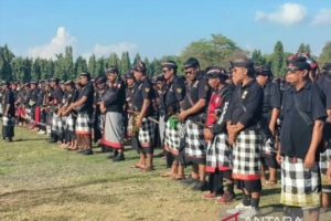 Minta Pecalang Bali Jaga Keamanan, Tapi Insentif dan Mobil Patroli Masih Angin Surga
