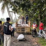 BULOG Bali Pastikan Serap Gabah Petani hingga Akhir Tahun