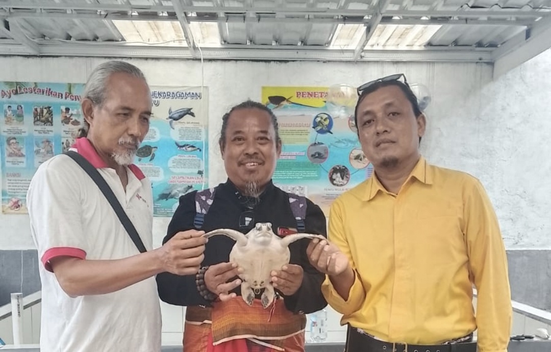 PHMB Bersama Yayasan Hindu Bali Lepas Puluhan Tukik di Pantai Surabrata