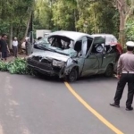 Bali Darurat Travel Ilegal, Tragedi 5 Turis Tiongkok Bukan Kecelakaan, tapi Kegagalan Pemerintah Bali