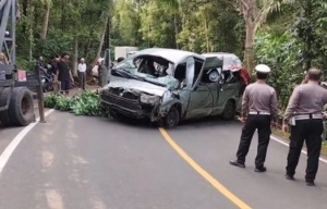 Bali Darurat Travel Ilegal, Tragedi 5 Turis Tiongkok Bukan Kecelakaan, tapi Kegagalan Pemerintah Bali
