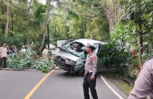 Kecelakaan Maut yang Menewaskan 5 Warga Tiongkok, Diduga Dikelola Travel Bodong Asal Tiongkok