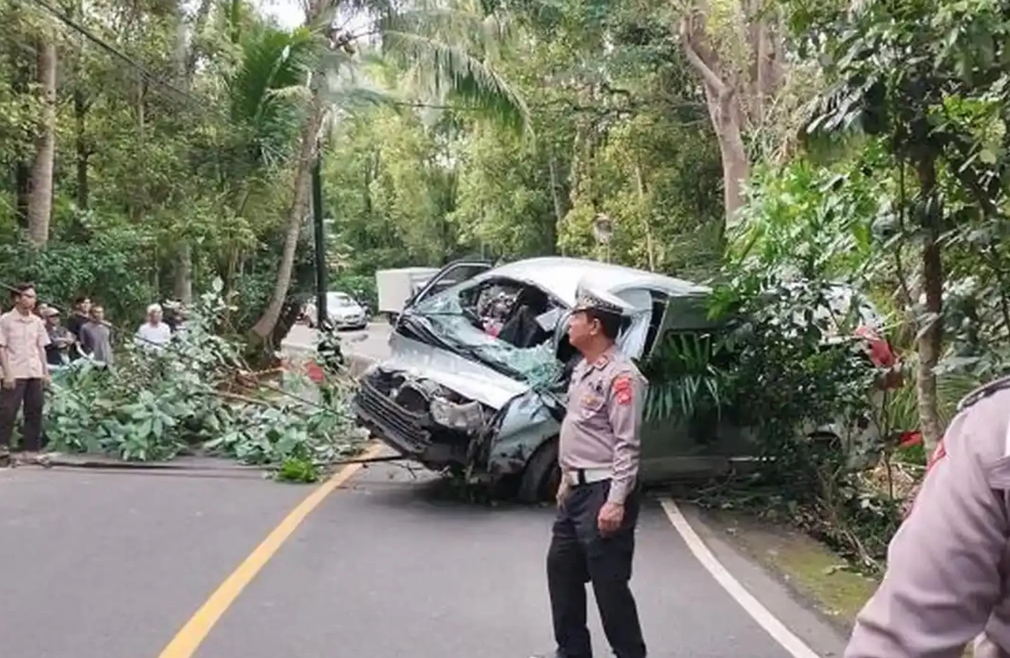 Kecelakaan Maut yang Menewaskan 5 Warga Tiongkok, Diduga Dikelola Travel Bodong Asal Tiongkok