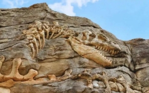 Dinosaurus Raksasa Baru Ditemukan di China, Ubah Batas Gigantisme Prasejarah