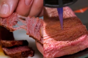 Daging 3D Tanpa Penyembelihan, Revolusi atau Kontroversi Moral Baru?