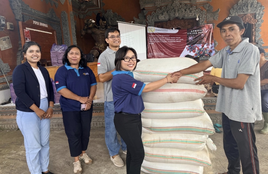 Edukasi ASF di Bangli, Benteng Awal Selamatkan Peternak Babi dari Wabah Mematikan