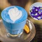 Bunga Telang, “Blue Matcha” Alami yang Memikat Mata dan Menyehatkan
