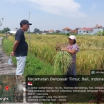 Mulai Januari 2026, BULOG Bali Siap Serap Gabah Petani