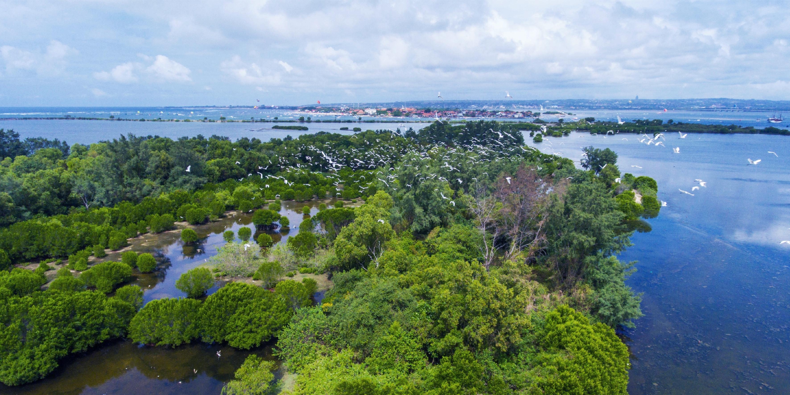 Ruang Hijau Terjaga, KEK Kura Kura Bali Menjadi Habitat Beragam Satwa