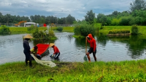 KEK Kura Kura Bali Gandeng Komunitas Nukari, Optimalkan Lahan dan Kolam untuk Berdayakan Warga Serangan