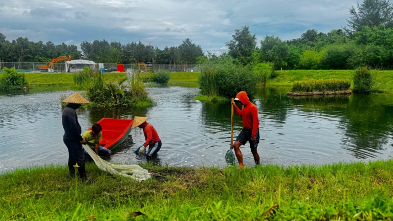 KEK Kura Kura Bali Gandeng Komunitas Nukari, Optimalkan Lahan dan Kolam untuk Berdayakan Warga Serangan