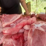 Godfried Lubis Ancam Lawan Jika Ada Pelarangan, Penertiban Pedagang Babi di Medan Diduga Tebang Pilih