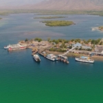 Bali Siapkan Tiga Pelabuhan Baru, Strategi Urai Kemacetan Logistik dari Barat Pulau