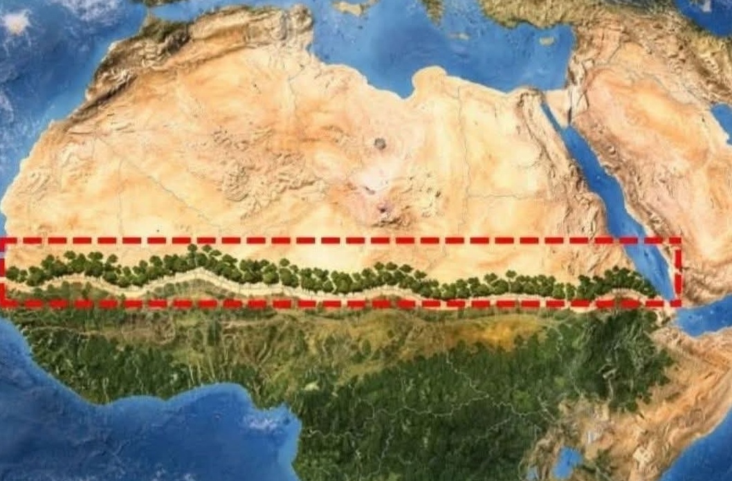 Tembok Hijau Afrika! Perlawanan 20 Negara Menahan Ekspansi Gurun Sahara