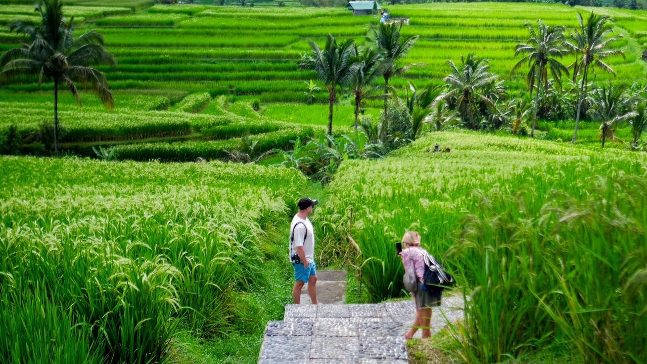 Jatiluwih Kembali Bersinar di Asia, Raih Penghargaan Internasional untuk Pariwisata Berkelanjutan