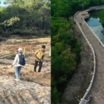 Demi Keadilan! ARUKKI Diduga Lupa Cantumkan Hancurnya Mangrove di Proyek Normalisasi Sungai Ngenjung ke KPK