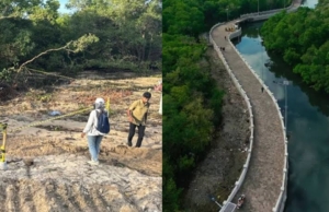 Demi Keadilan! ARUKKI Diduga Lupa Cantumkan Hancurnya Mangrove di Proyek Normalisasi Sungai Ngenjung ke KPK