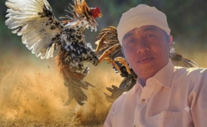 Advokat Made Somya Desak Copot Kapolres Tabanan dan Kapolsek Baturiti Usai Amuk Massa