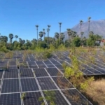PLTS Rp26 Miliar di Kubu Karangasem Mangkrak, Panel Surya Dibiarkan Ditelan Semak