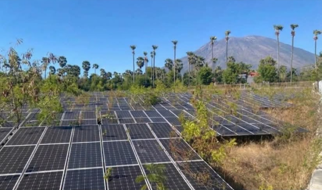 PLTS Rp26 Miliar di Kubu Karangasem Mangkrak, Panel Surya Dibiarkan Ditelan Semak