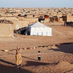 Dugaan Penyelewengan Bantuan di Kamp Tindouf Mencuat, Persisma Desak Pengungsi Sahrawi Dipulangkan