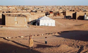 Dugaan Penyelewengan Bantuan di Kamp Tindouf Mencuat, Persisma Desak Pengungsi Sahrawi Dipulangkan